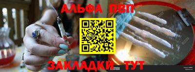 индика Камышлов