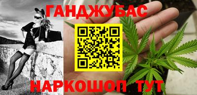 индика Камышлов
