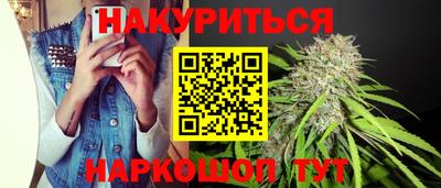 индика Камышлов
