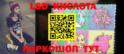 индика Камышлов