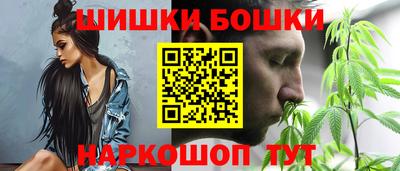 индика Камышлов