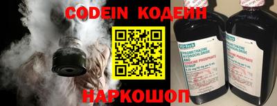 индика Камышлов