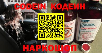 индика Камышлов