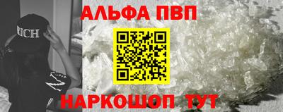 индика Камышлов