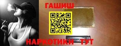 индика Камышлов