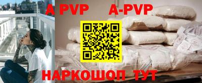 индика Камышлов