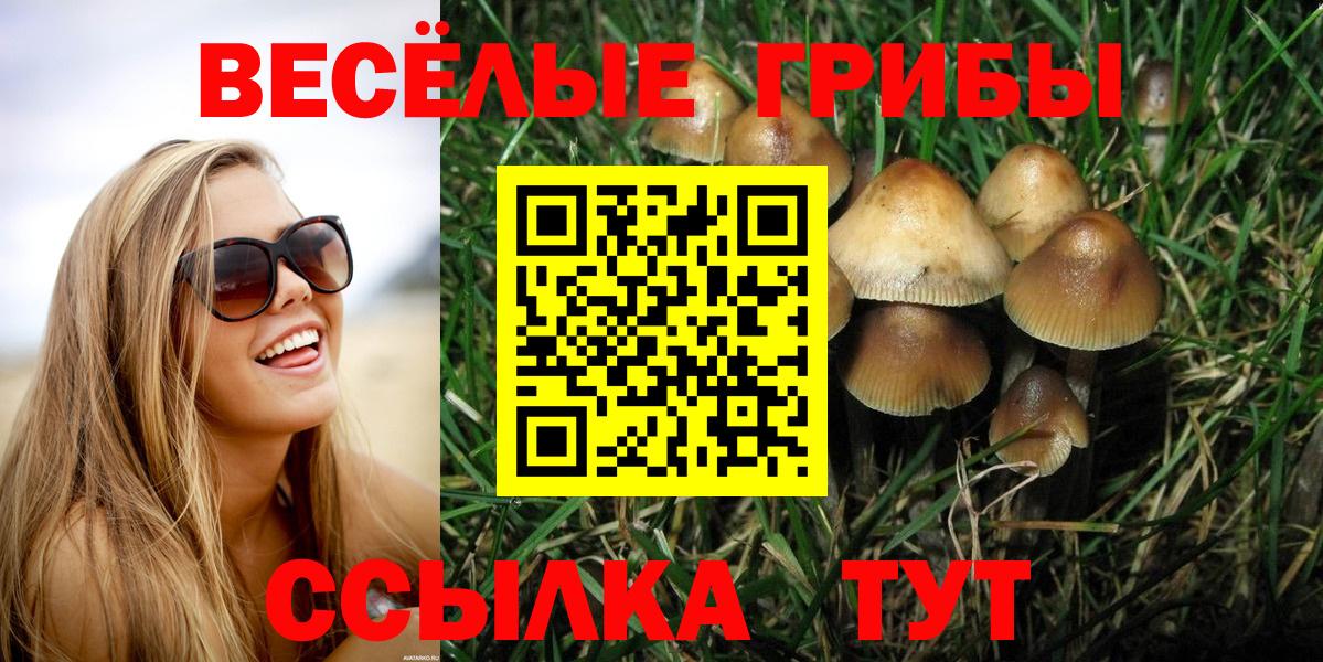 Междуреченск  Псилоцибиновые грибы Cubensis  Вход с VPN 