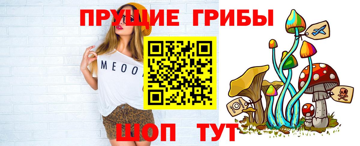 Псилоцибиновые грибы Psilocybe Междуреченск